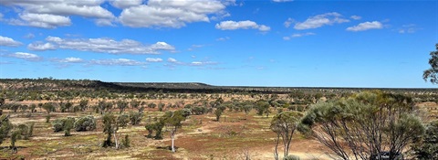 Muttaburra Camping Ground — photo 4