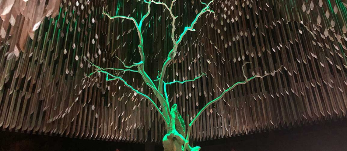 Tree of knowledge