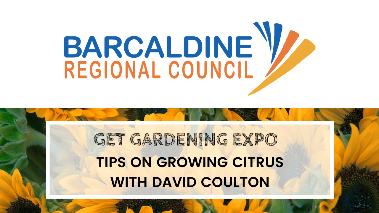Get gardening expo tips on growing citrus with ExpoDavid Coulton