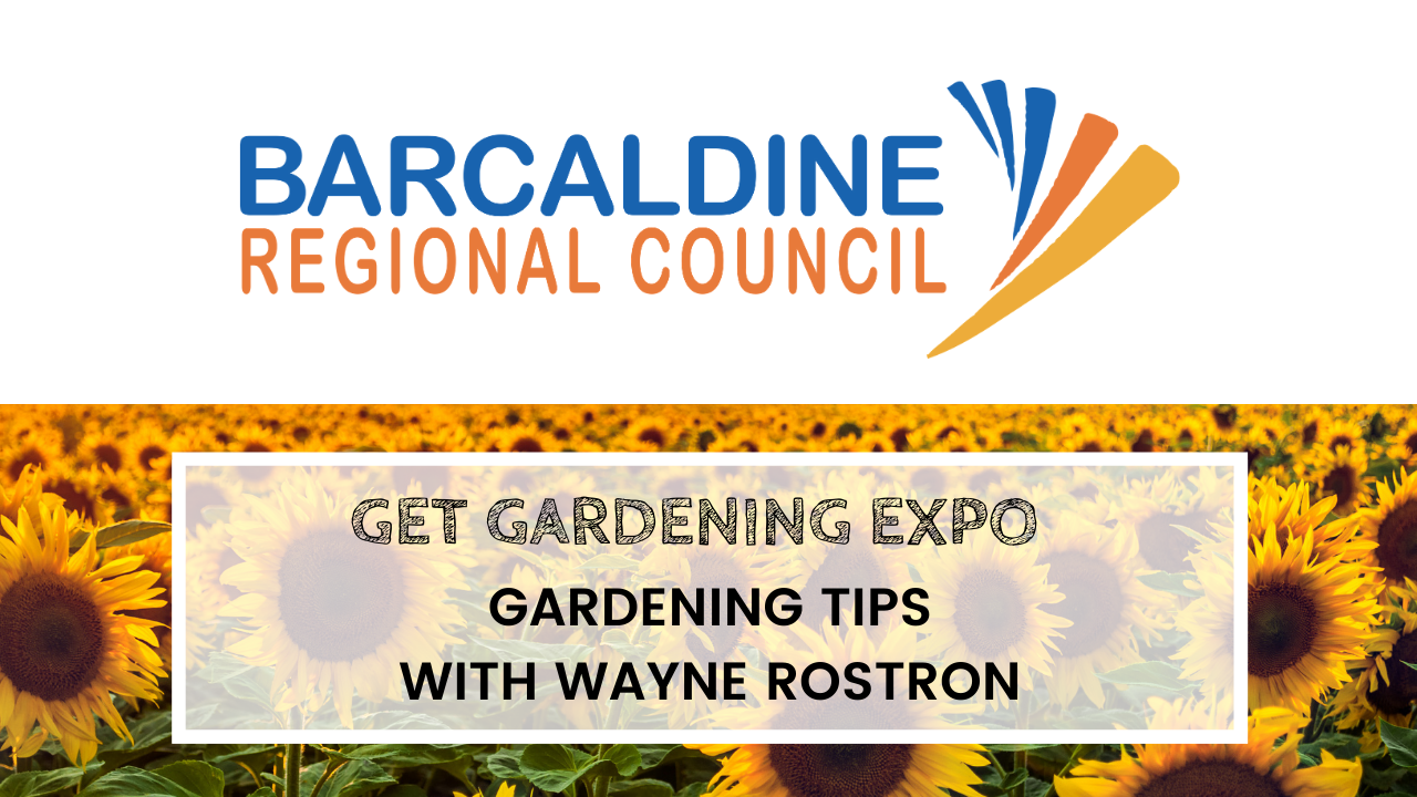 Get gardening expo gardening tips with Wayne Rostron