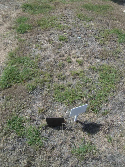Burial Tombstone Image - default