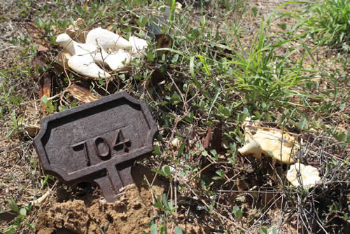 Burial Tombstone Image - default