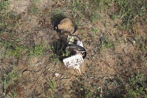 Burial Tombstone Image - default