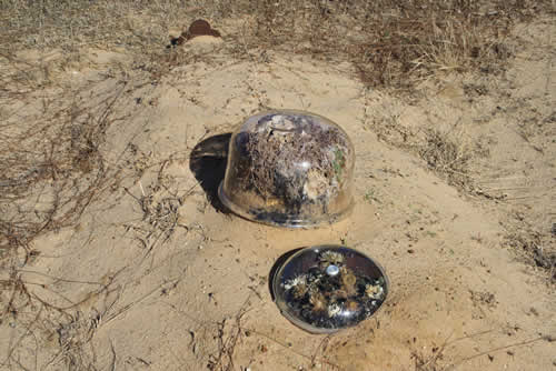 Burial Tombstone Image - default