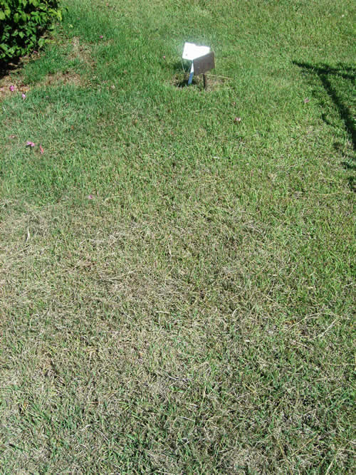 Burial Tombstone Image - default