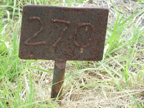Burial Tombstone Image - default
