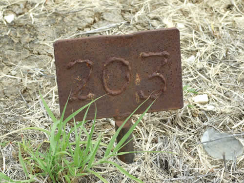Burial Tombstone Image - default