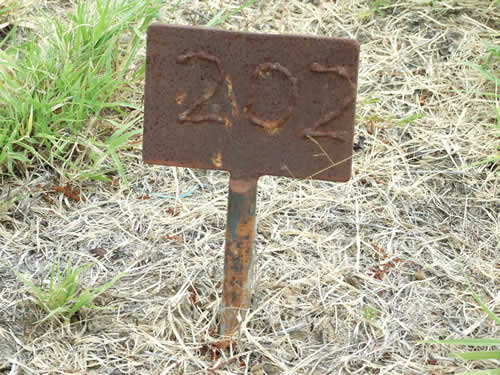 Burial Tombstone Image - default