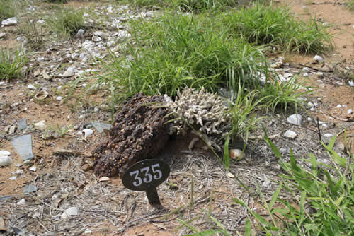 Burial Tombstone Image - default