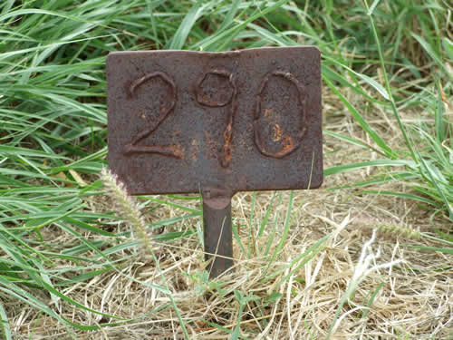 Burial Tombstone Image - default