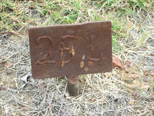 Burial Tombstone Image - default