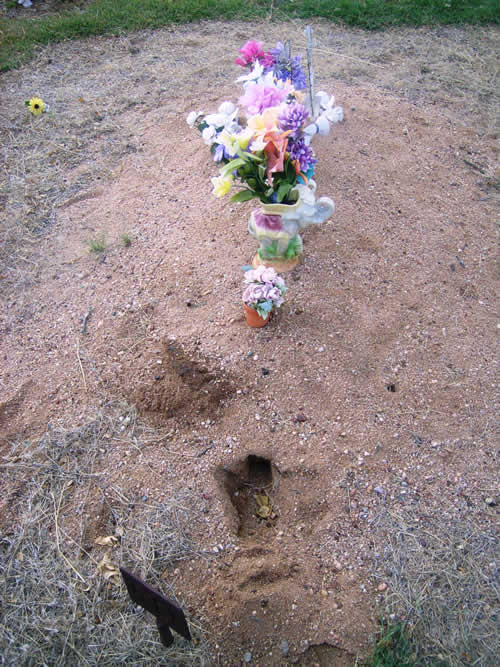 Burial Tombstone Image - default