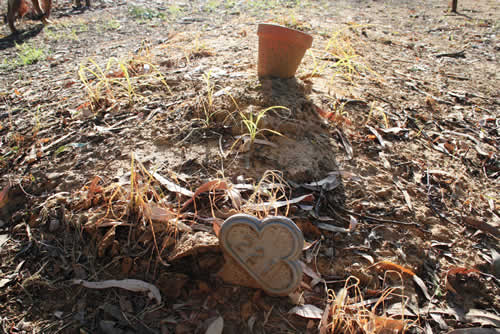 Burial Tombstone Image - default