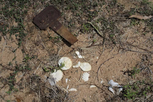 Burial Tombstone Image - default