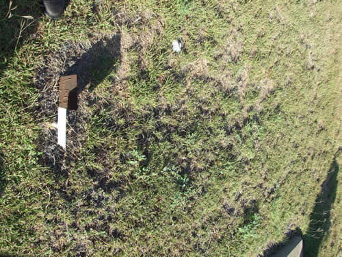 Burial Tombstone Image - default