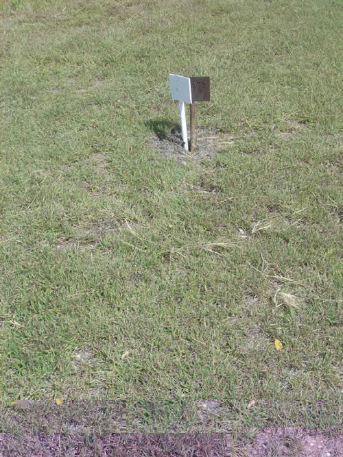 Burial Tombstone Image - default