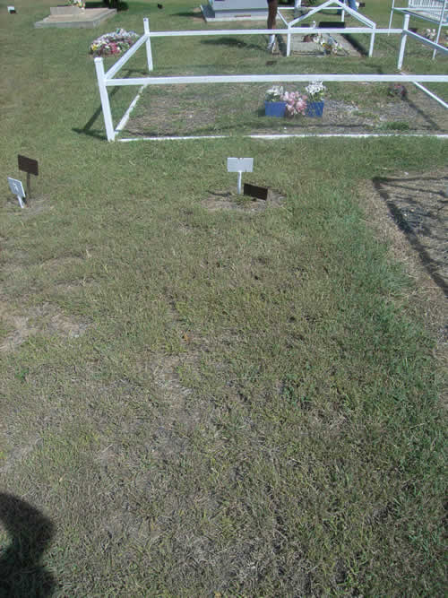 Burial Tombstone Image - default
