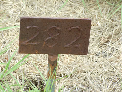 Burial Tombstone Image - default
