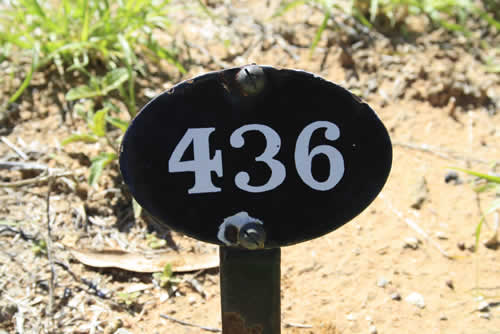 Burial Tombstone Image - default