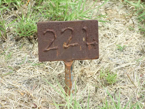 Burial Tombstone Image - default