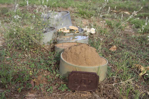 Burial Tombstone Image - default
