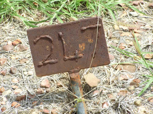 Burial Tombstone Image - default
