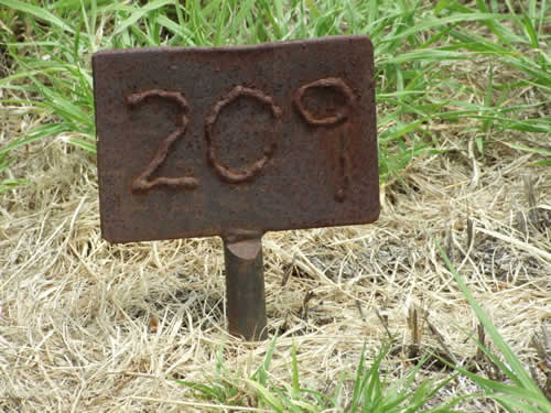 Burial Tombstone Image - default