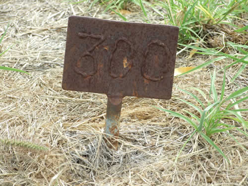 Burial Tombstone Image - default