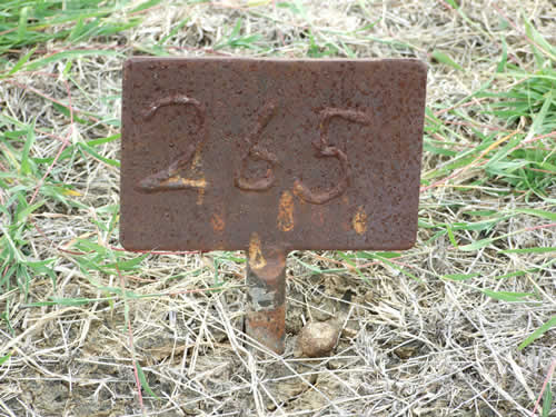 Burial Tombstone Image - default