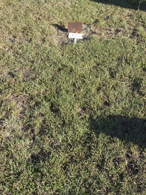 Burial Tombstone Image - default