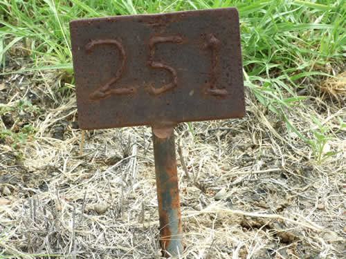 Burial Tombstone Image - default