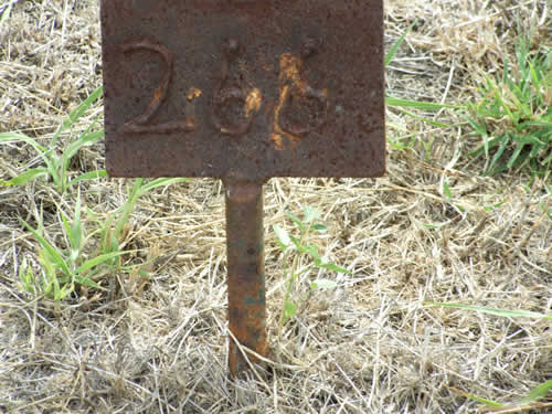 Burial Tombstone Image - default