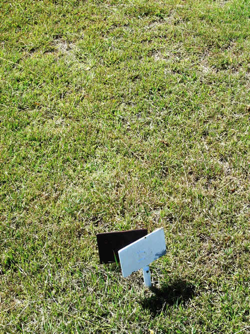 Burial Tombstone Image - default