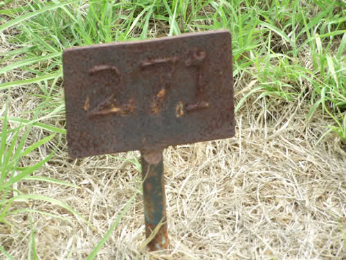 Burial Tombstone Image - default
