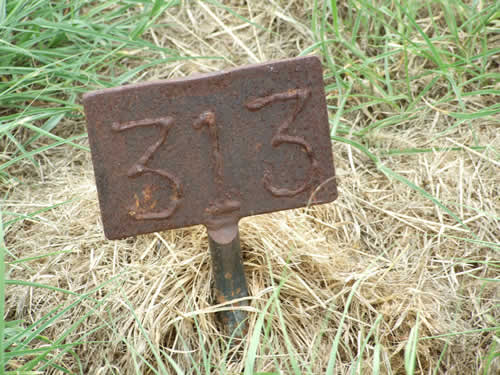 Burial Tombstone Image - default
