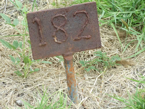 Burial Tombstone Image - default