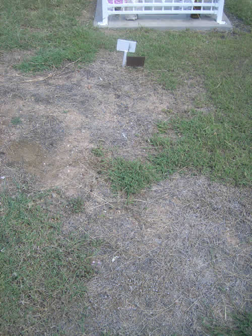 Burial Tombstone Image - default