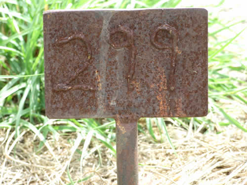 Burial Tombstone Image - default