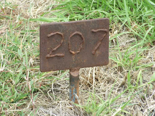 Burial Tombstone Image - default