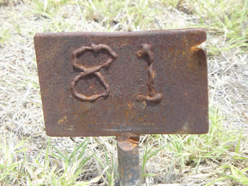 Burial Tombstone Image - default