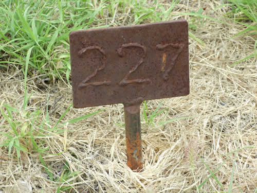 Burial Tombstone Image - default