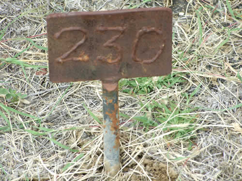 Burial Tombstone Image - default