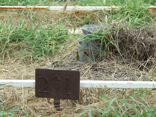 Burial Tombstone Image - default