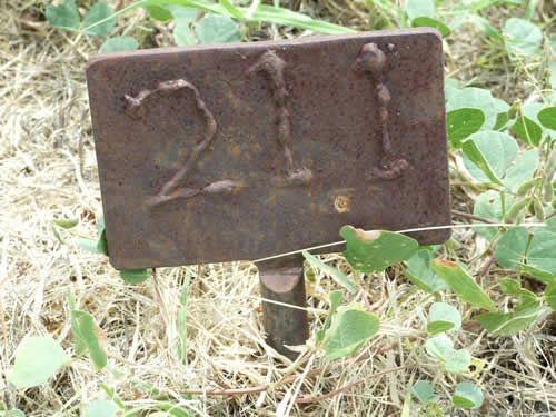 Burial Tombstone Image - default