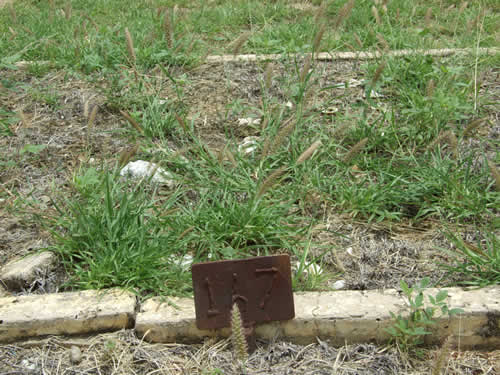 Burial Tombstone Image - default