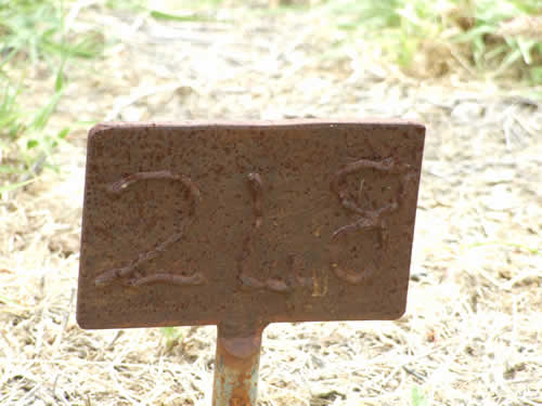 Burial Tombstone Image - default