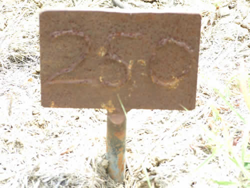 Burial Tombstone Image - default