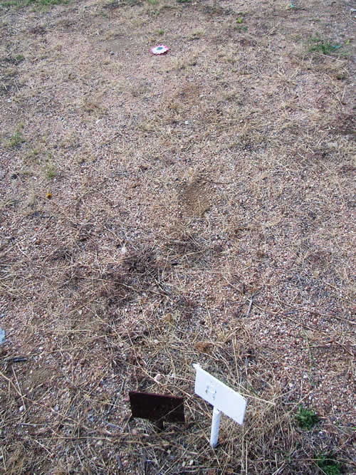 Burial Tombstone Image - default