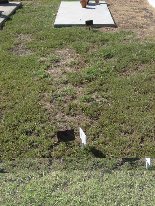 Burial Tombstone Image - default